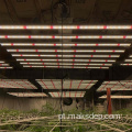 4ft 1000W LED Grow Light Pro Dimning